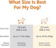 Sturdy Portable 2-Door Top-Load Hard-Sided Pet Travel Carrier with Secure Ventilation, Handle, Front Top Entry for Dogs, Cats, 22.8"L x 15"W x 13"H